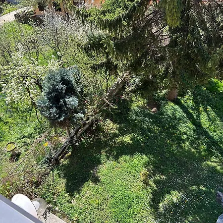 Gasthuis Hondo Rooms&apartments Sarajevo